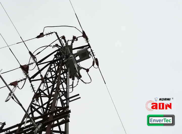 Adjudicatoria En Exclusiva