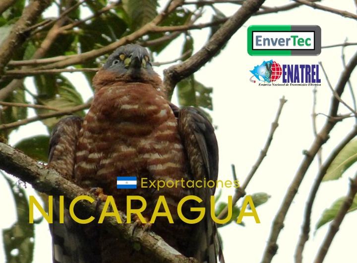 Suministros en Redes M.T._Nicaragua