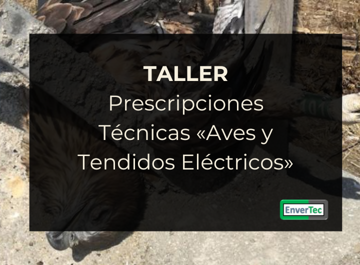 Taller Prescripciones Técnicas «Aves y Tendidos Eléctricos»