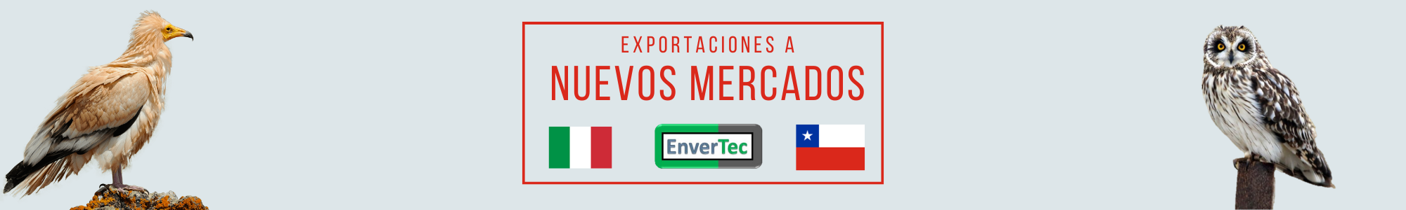 Noticia_Italia&Chile_1