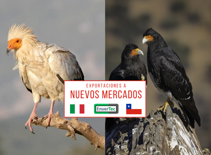 Exportaciones de Materiales Específicos _ CHILE _ Nuevos Mercados _ ITALIA.