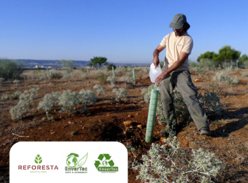 R.S.C. ENVERTEC S.L.. _ Reduciendo nuestra huella de CO2 y mejorando el Hábitat de nuestra Avifauna.