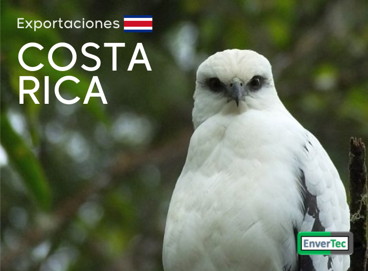 Visita  Costa Rica_  Inspección de Instalaciones corregidas con Protectores Avifauna CAON-KORWI®.