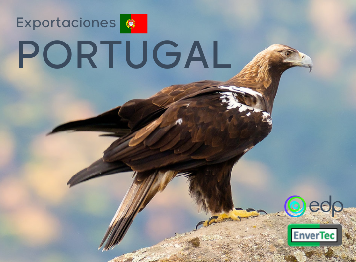 Exportación a EDP Portugal