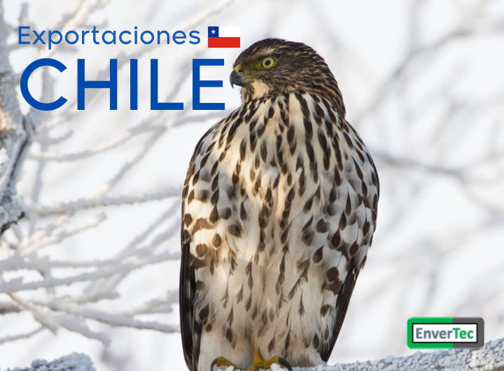 Adjudicación y exportación de aisladores poliméricos en Chile