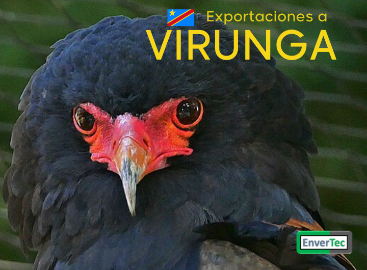 Exportación de materiales específicos Virunga Congo