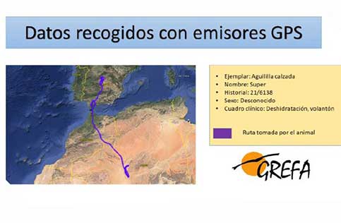 Envertec_datos_gps