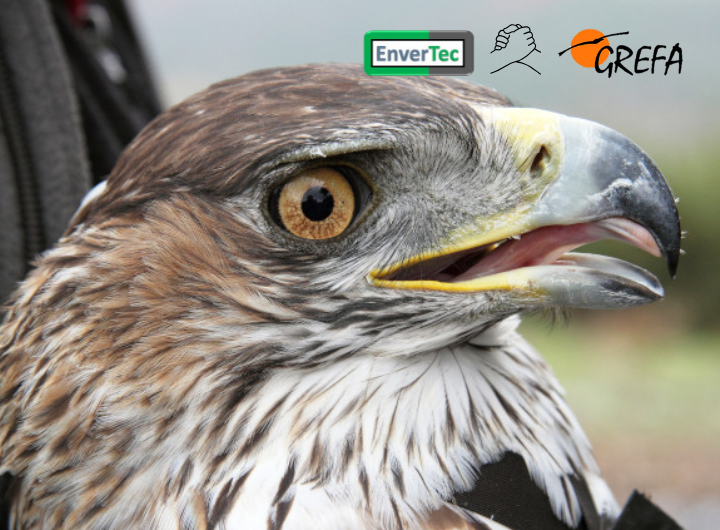 Colaboración GREFA + Envertec