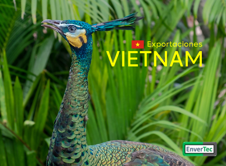 Vietnam nuevos Mercados en Asia