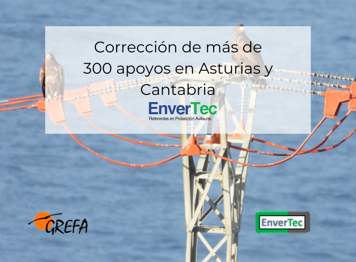 Uso de material de EnverTec para Proyecto Pigargo