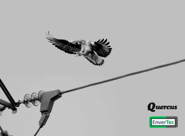 Lanzamiento del Podcast de Quercus patrocinado por EnverTec