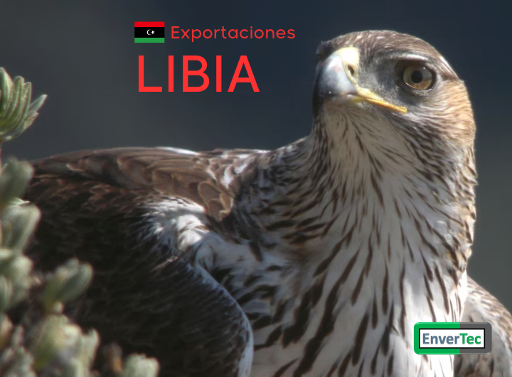 Nuevas Exportaciones a Libia