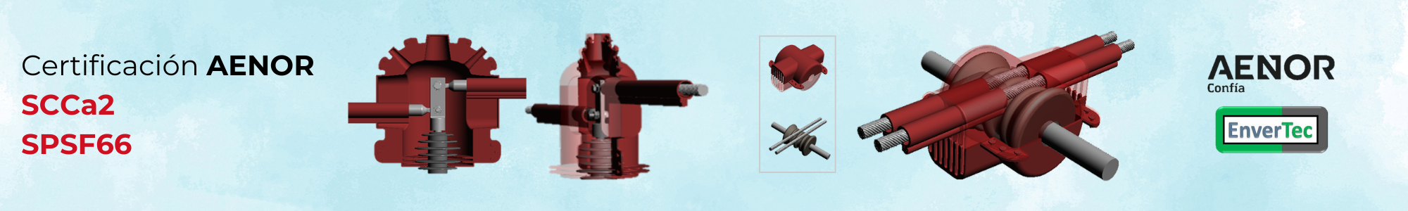 Noticia_SPSF66 SCCa2_1